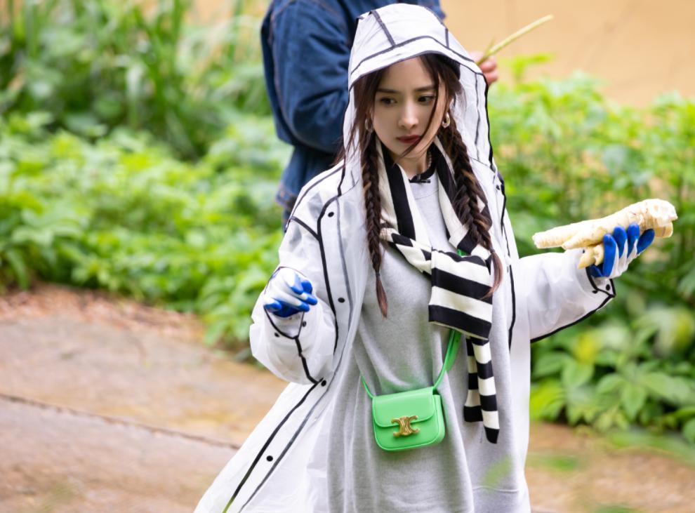 花少4杨幂提东西视频,花少4杨幂提东西画面