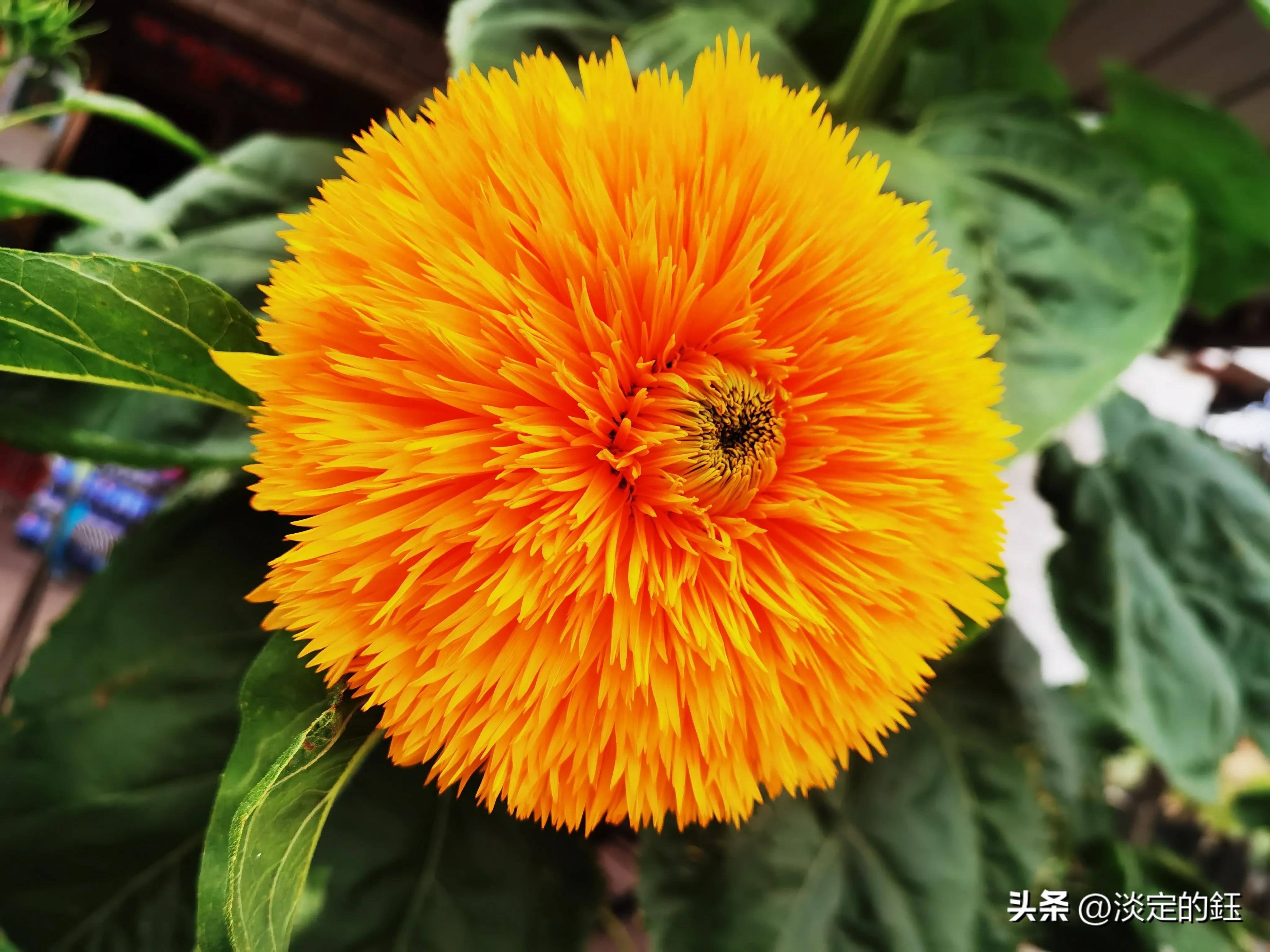 相遇美容护肤,相遇小皂手工精油皂