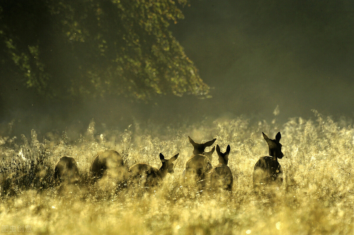 人生留下自己的足迹,生活路上遇见最美的自己