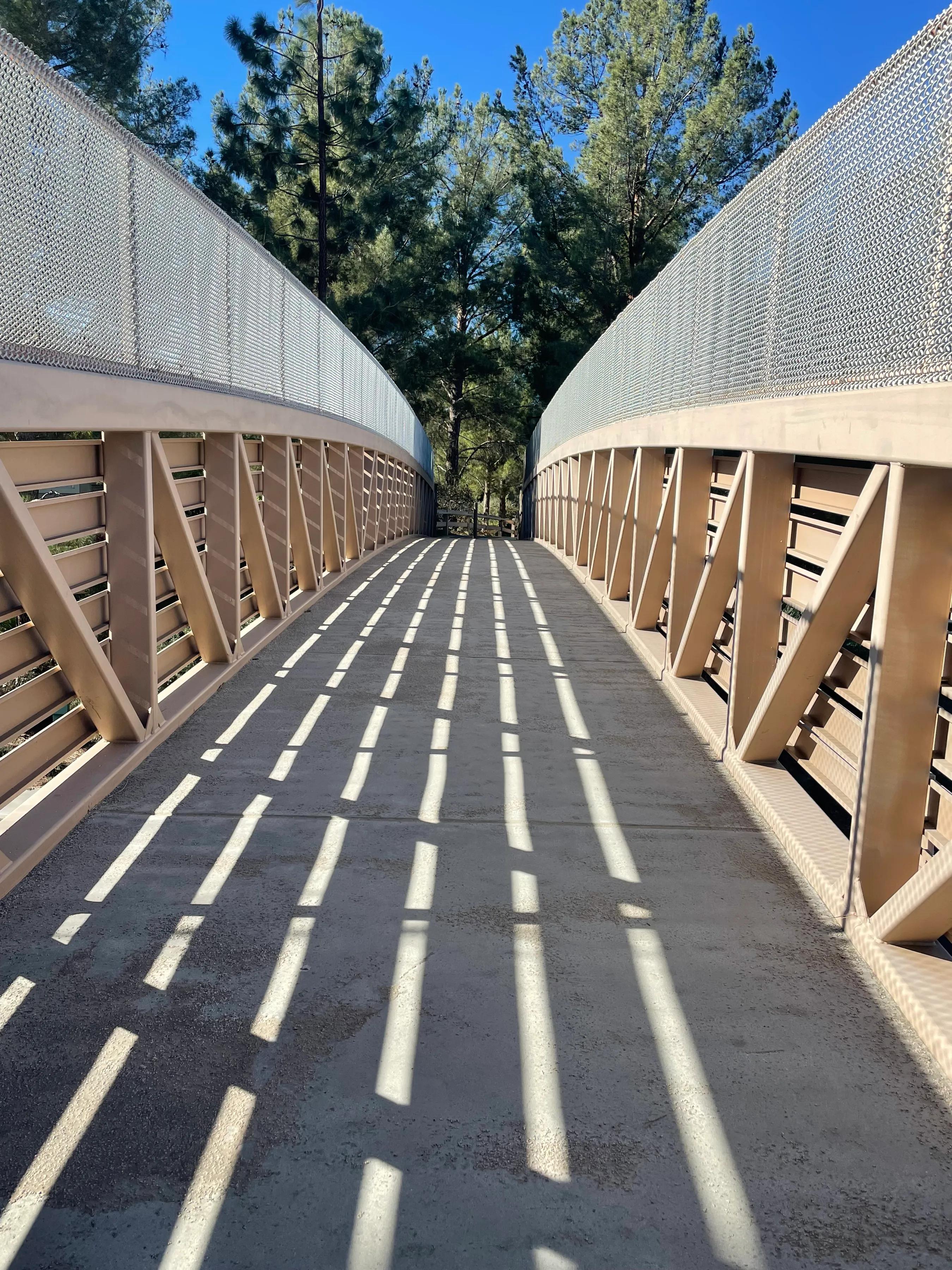 大乔和小乔的故事,大乔和小乔的故事王者荣耀