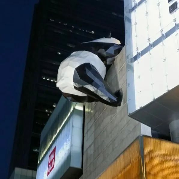 成都重庆九寨沟旅游攻略自由行,70-80岁老人旅游攻略成都