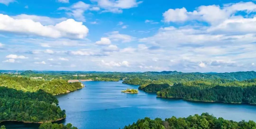 如果你要写新余，就不能只写新余