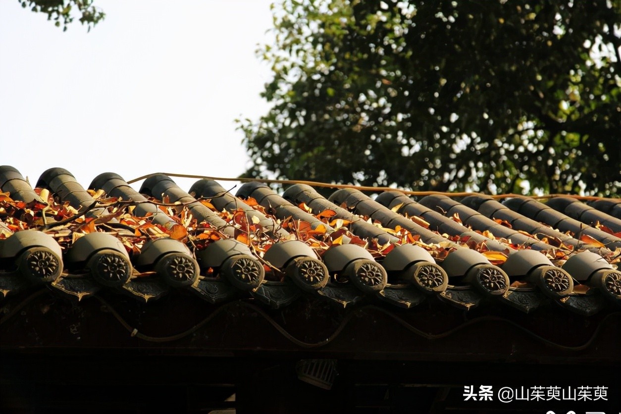 芜湖旅游攻略教堂,芜湖鸠兹风景区