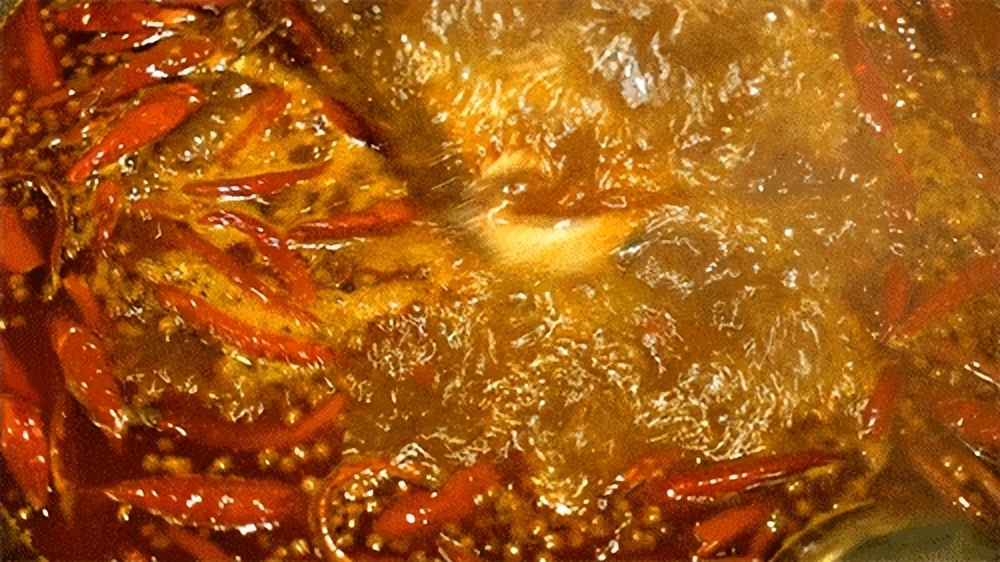 别再不停地往家买锅了！入坑法格多功能锅，烹炸烤煮焖炖样样行