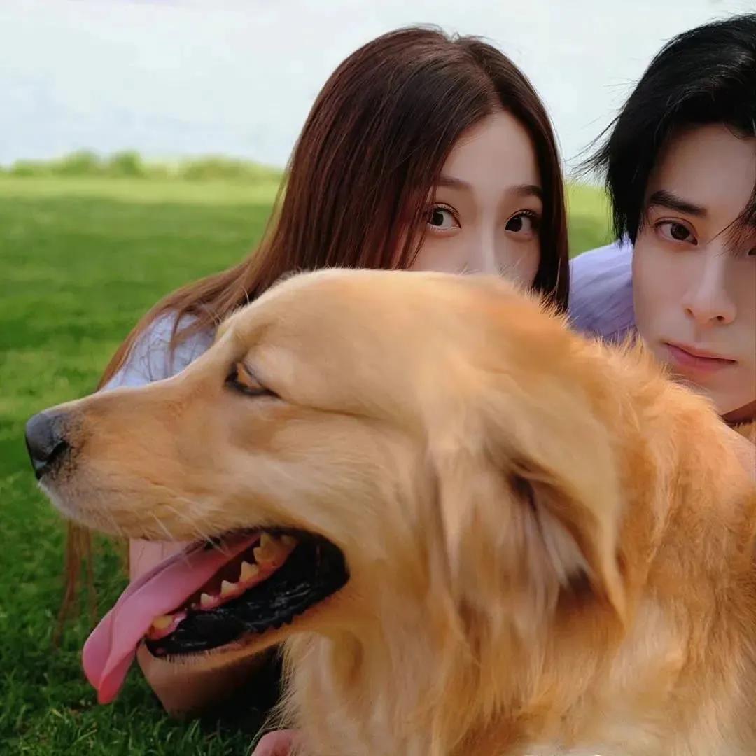 ins苍兰诀头像,wechat情侣单人头像