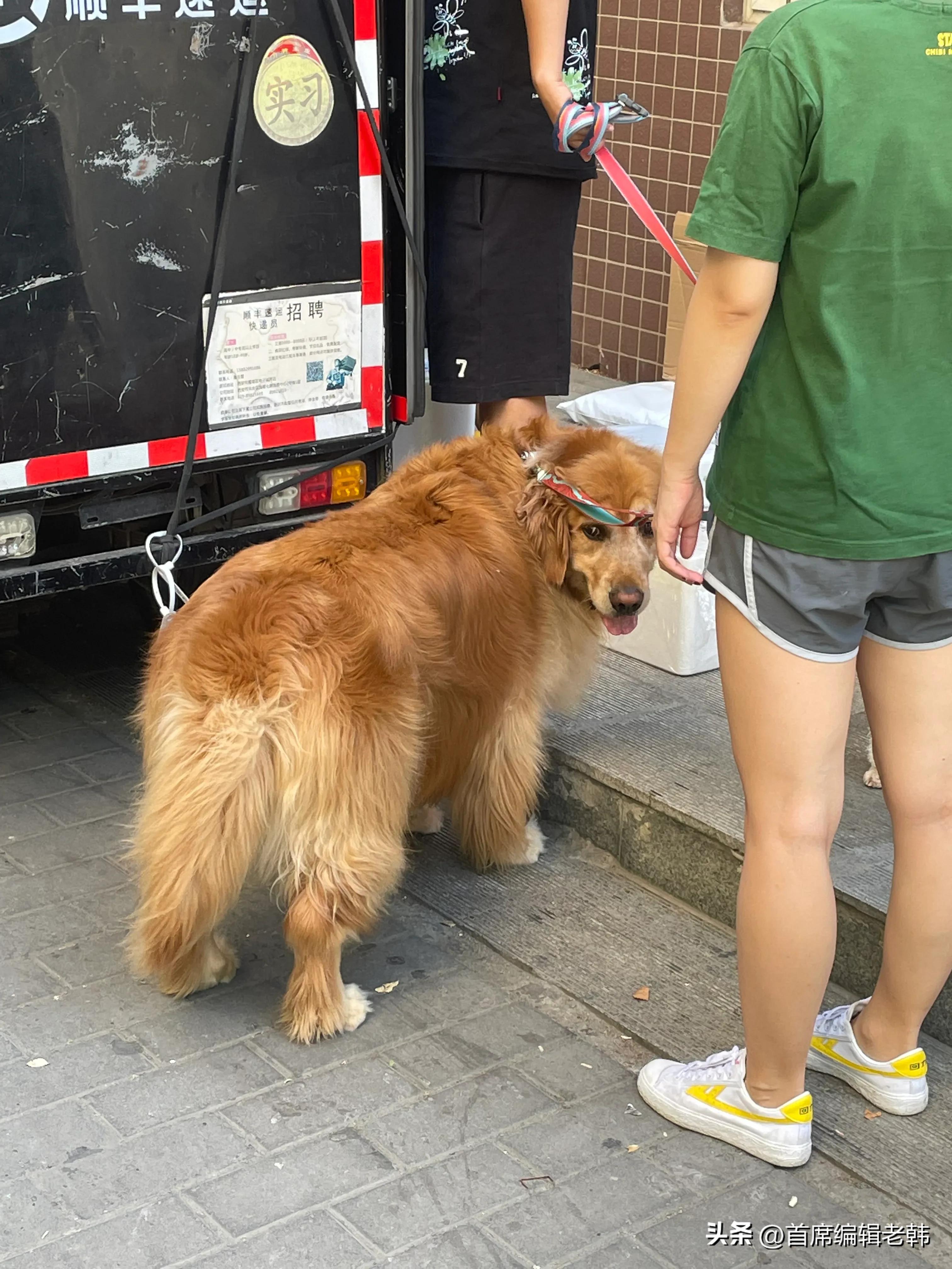 一天一万字2：我的带路大哥是冒牌主编，他教会我人情世故