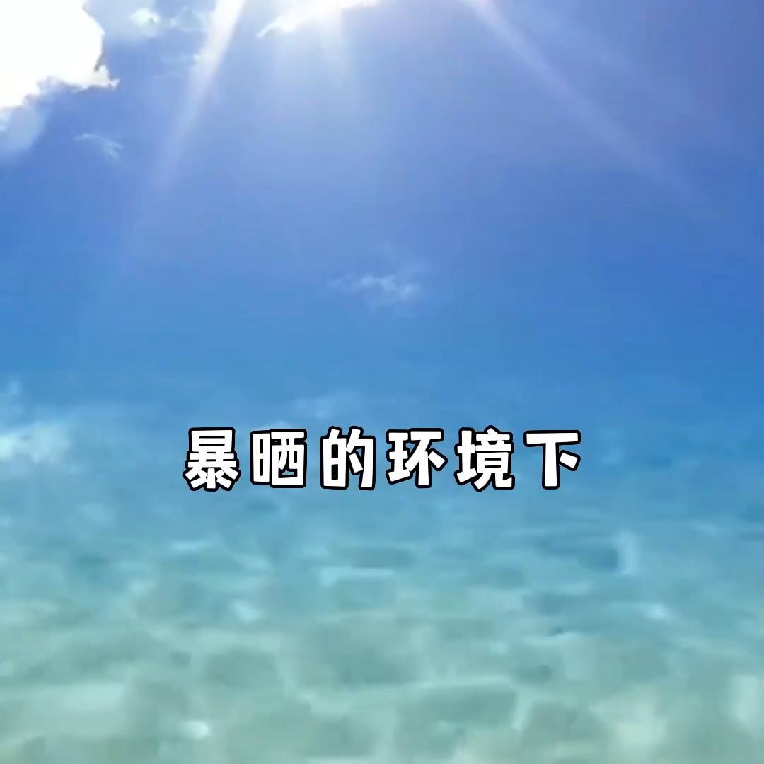 35款防晒一句话测评,户外防晒测评红黑榜