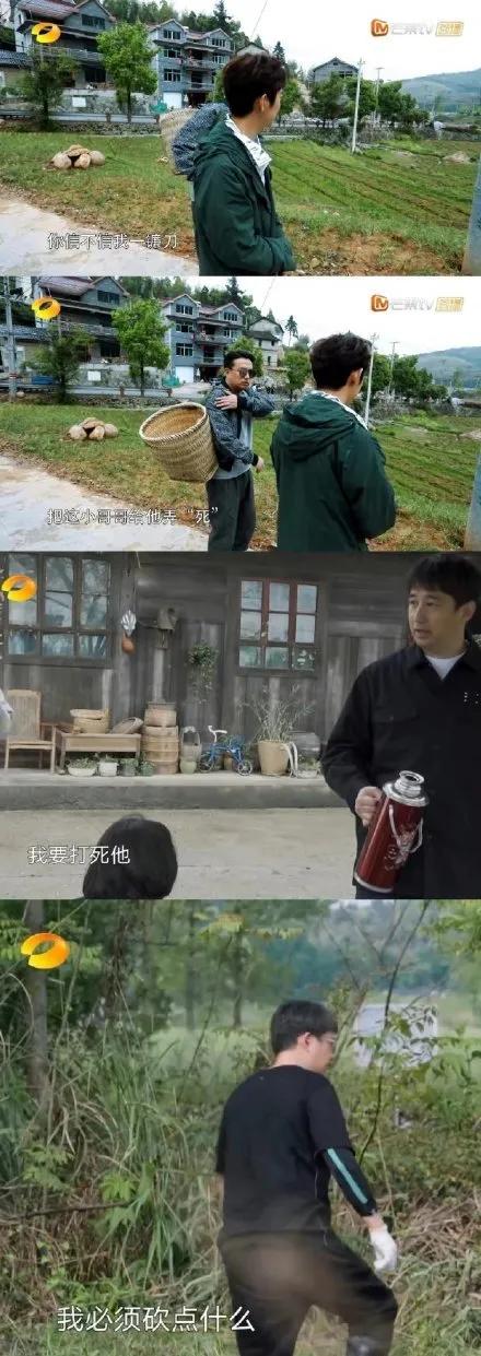 焉栩嘉张子枫什么时候在一起的,焉栩嘉张子枫怎么公开的