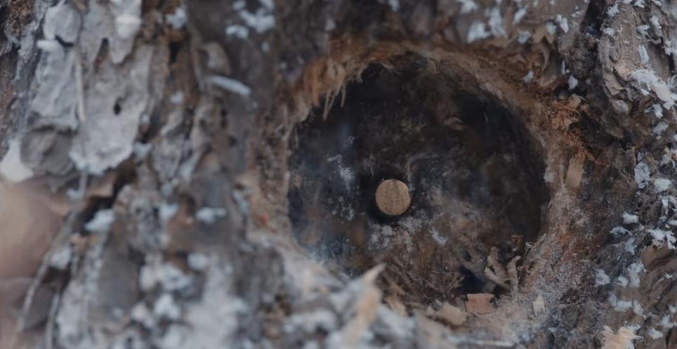 这才是刘晓庆70岁该有的样子,67岁刘晓庆穿红裙