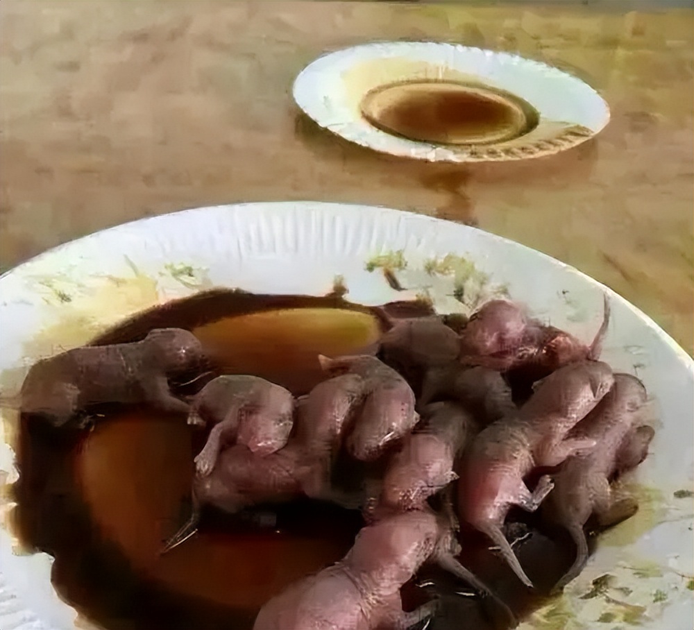 ​暗黑料理：鼠肉烹饪竟比鸭脖历史更悠久
