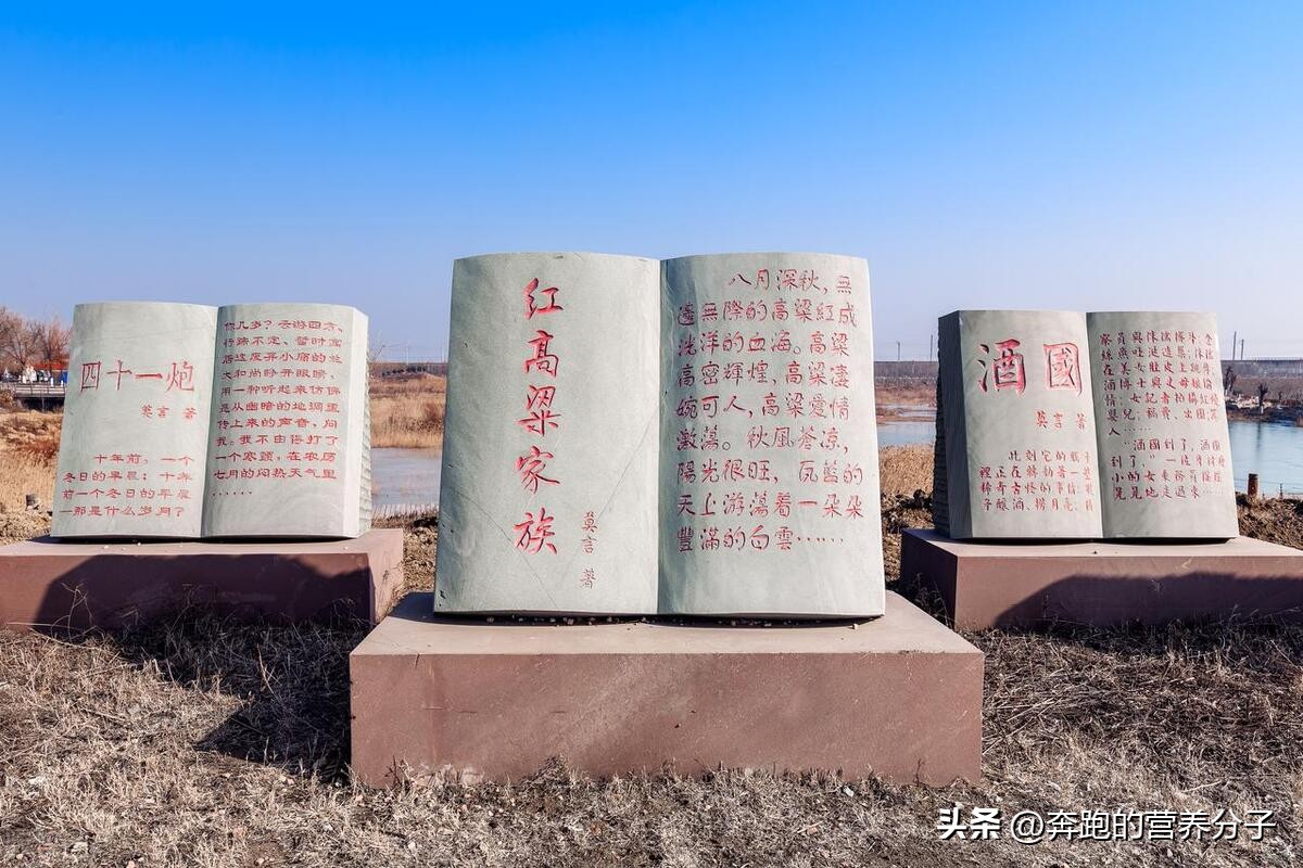 莫言酒国的经典语录,三分钟读一本书苏东坡传林语堂