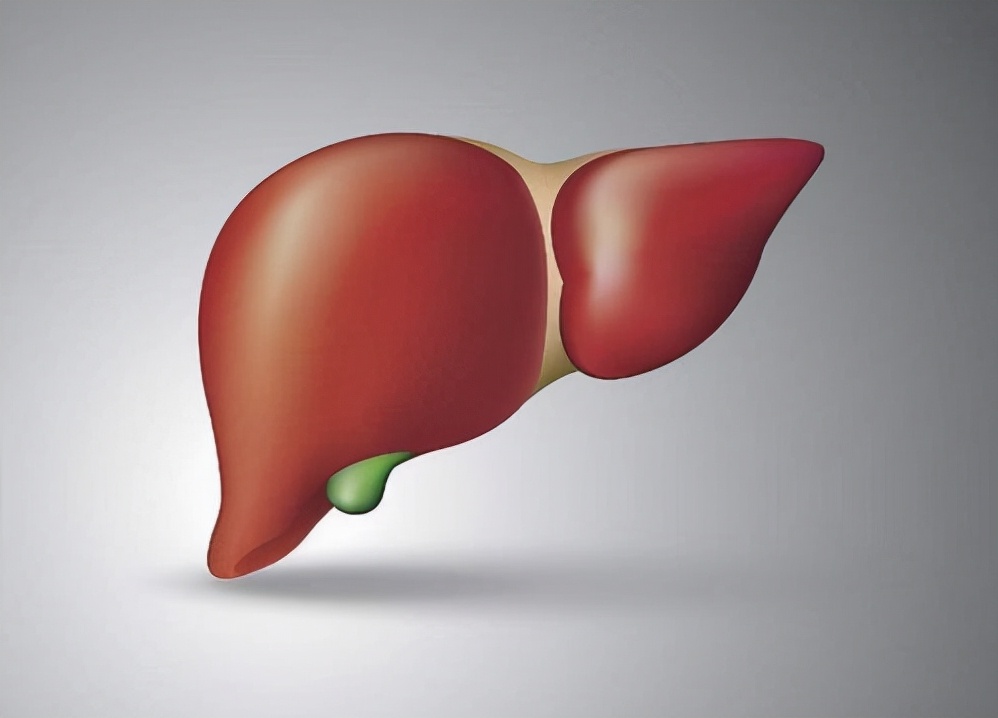 养肝护肝的食物南瓜,常吃南瓜能排肝毒吗