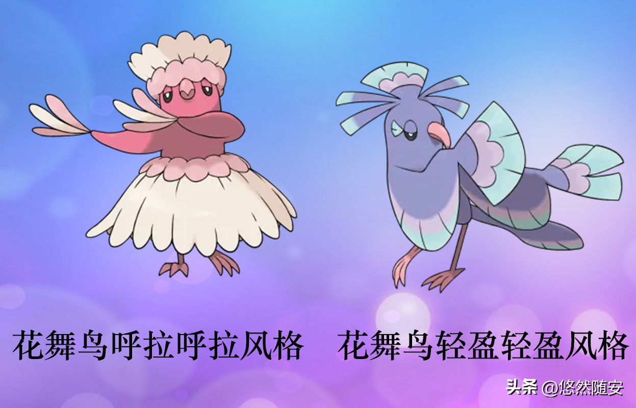 宝可梦6种进化形态,宝可梦进化图片