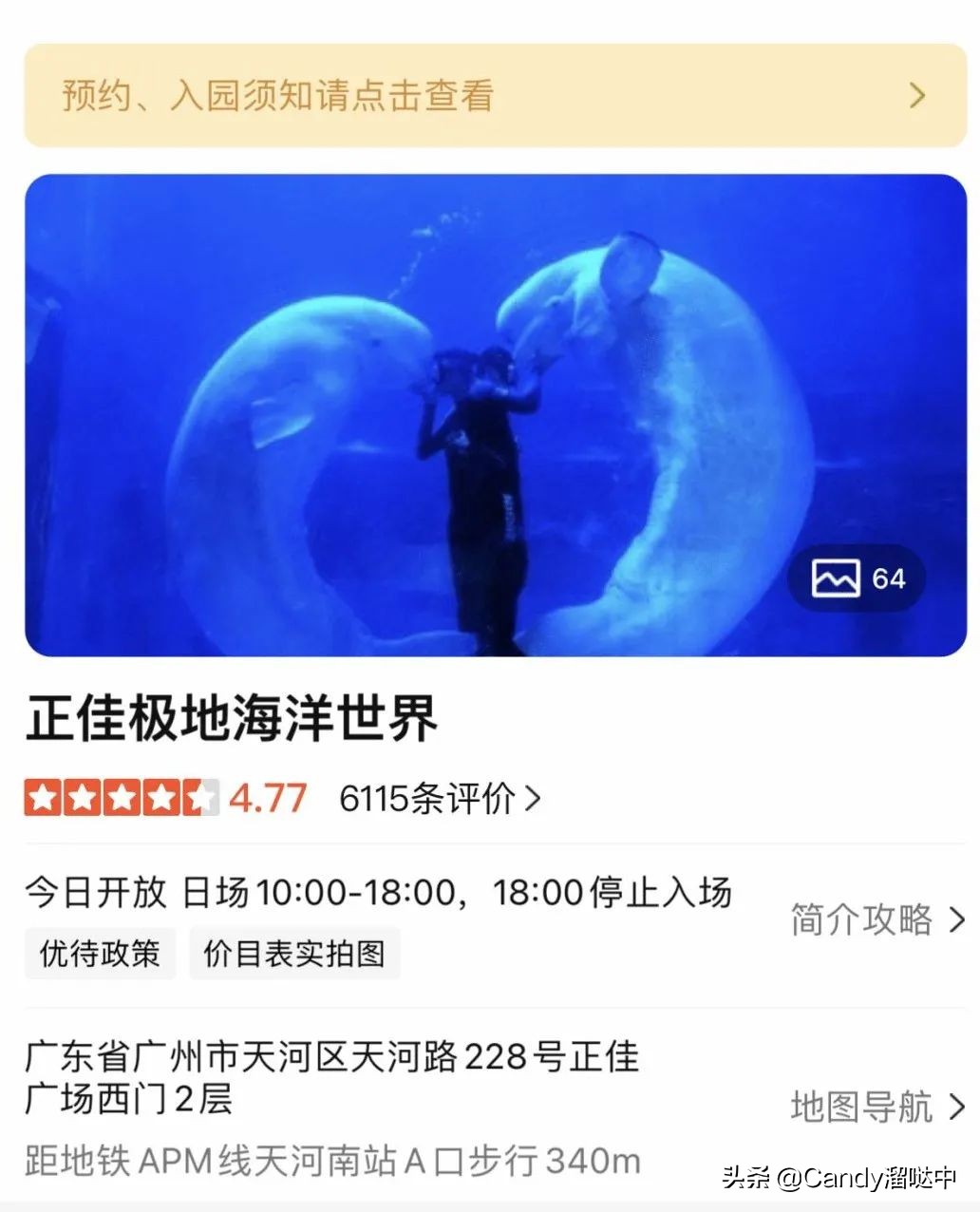 广州自由行攻略最详细,广州游玩打卡攻略情侣