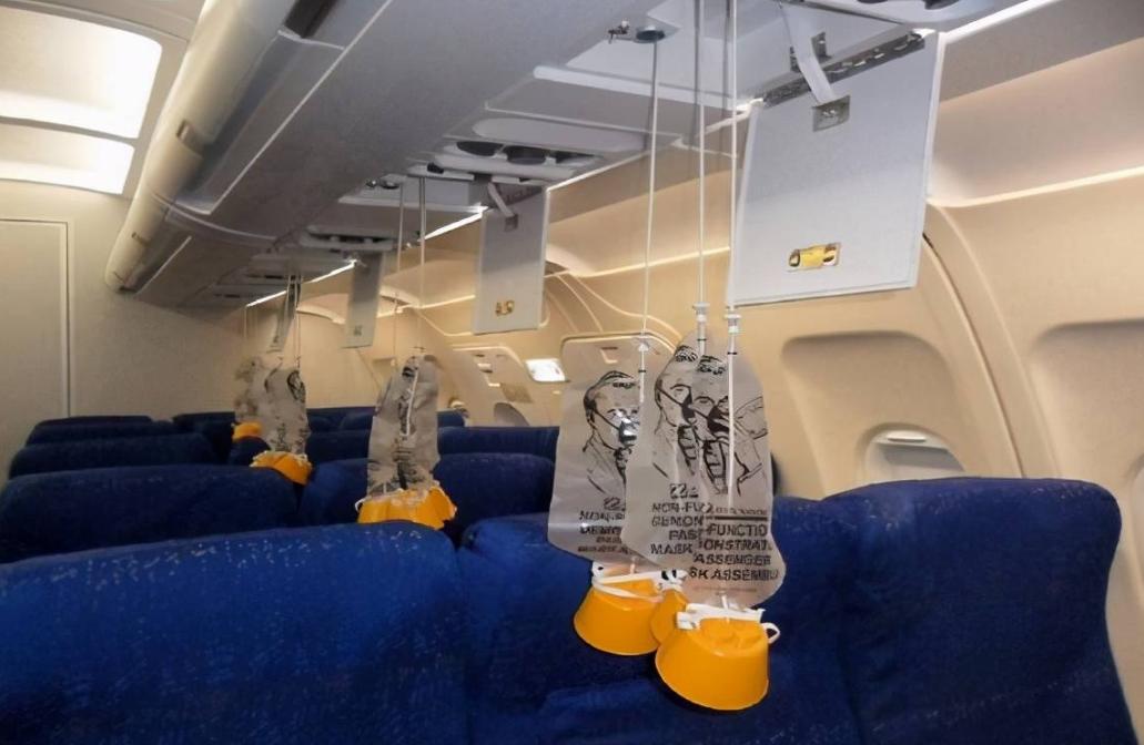 给小宠物戴氧气面罩,为什么大部分宠物都不能带进机舱