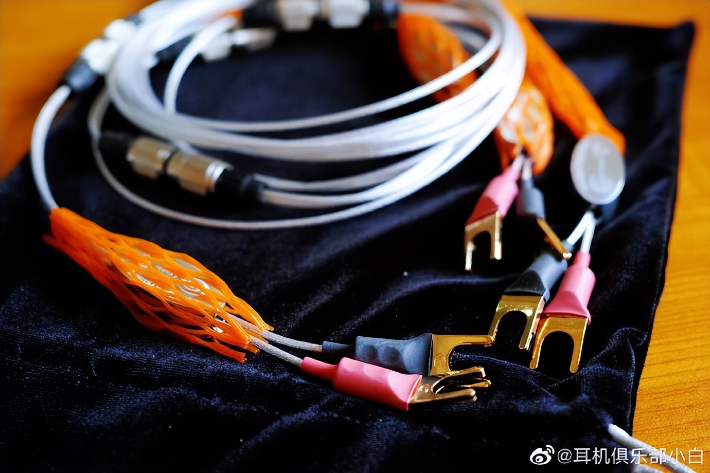 荷兰晶彩/银彩创始人EdwinRijnveld在上海谈发烧