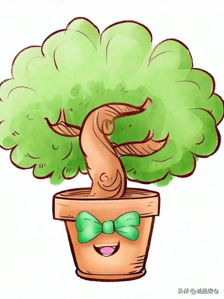 巴西木要这样养就能枝繁叶茂,巴西木幸运木水培植物怎么养