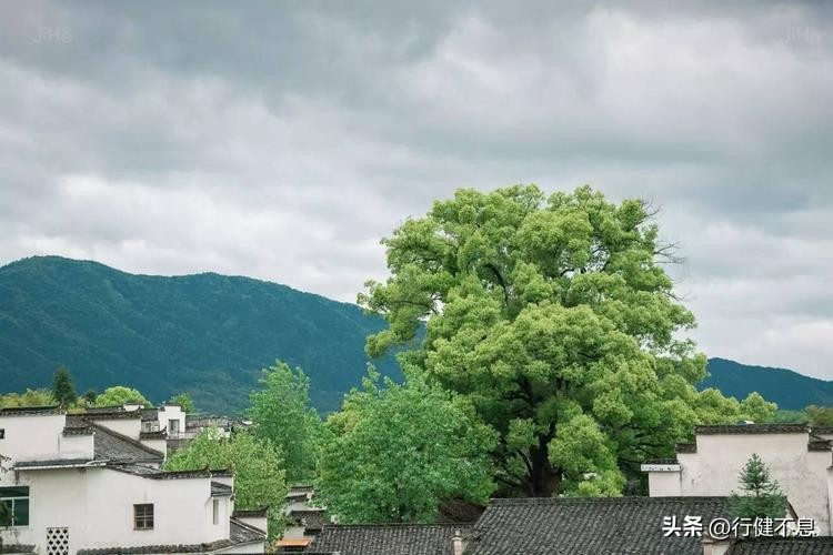 写青山的唯美诗词,关于青山的诗句大全