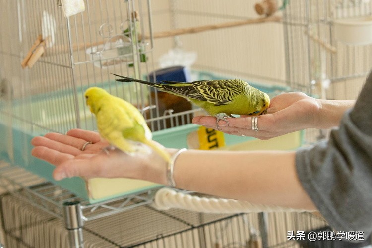 日本负压通风系统的原理,日本墙式通风器