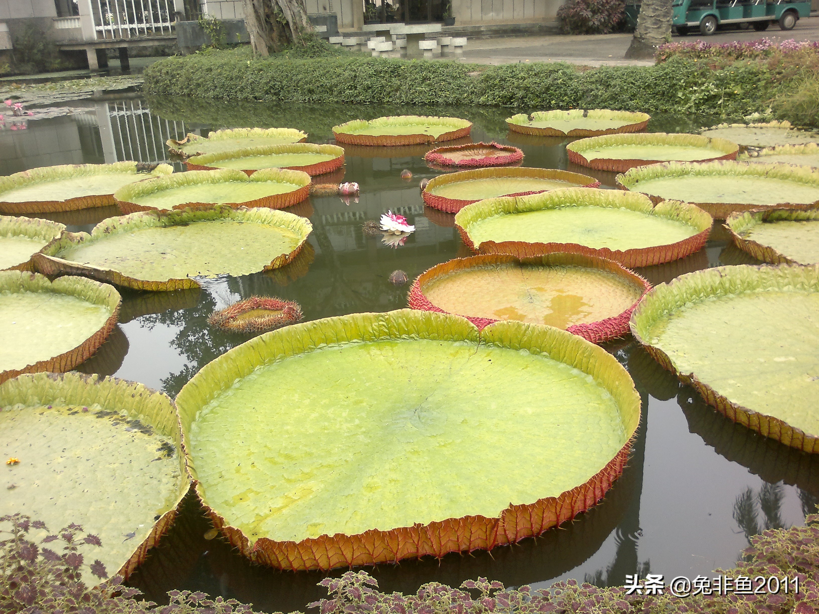 云南腾冲滇峰之旅,云南瑞丽中缅边境一日游