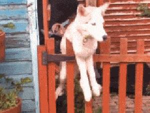 姑娘这么可爱竟然当保安，大叔都忍不住多看两眼，太屈才了: