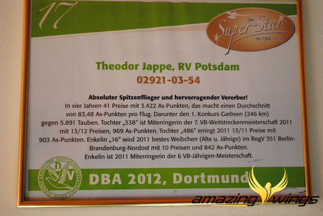 德国鸽界超级巨星迪欧亚普,图