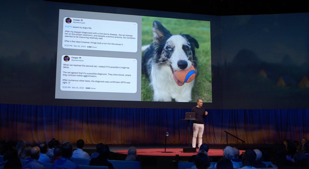 关于chatgpt的ted演讲,ted开挂的套路