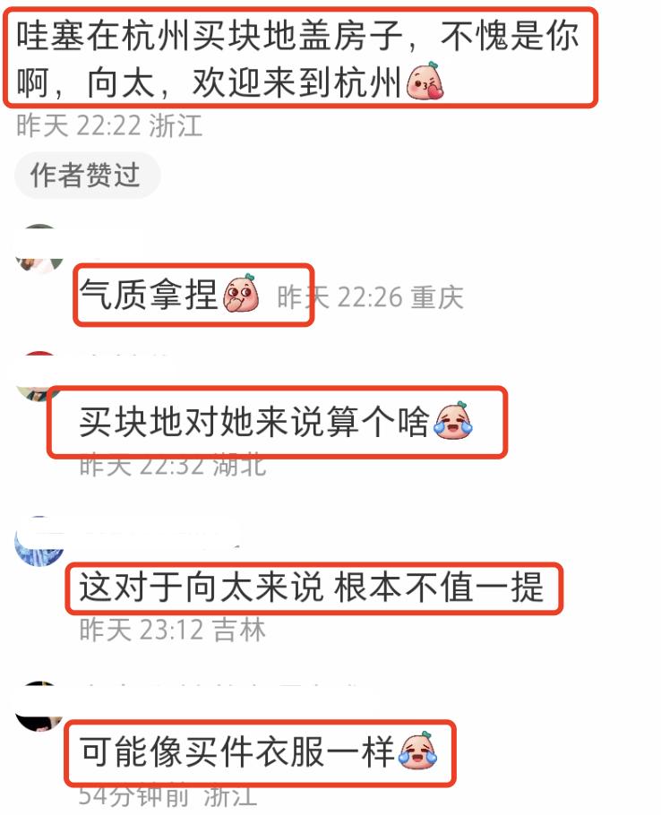 向太事业版图扩张，前往杭州买地盖房子做生意，亲自参与品牌设计