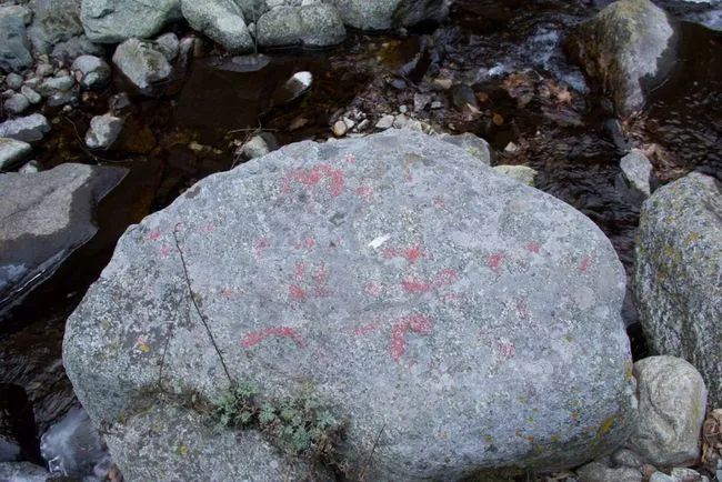 冬天寻访秦岭大峪，不但还有古道遗迹可循，还能见到这条野生广告