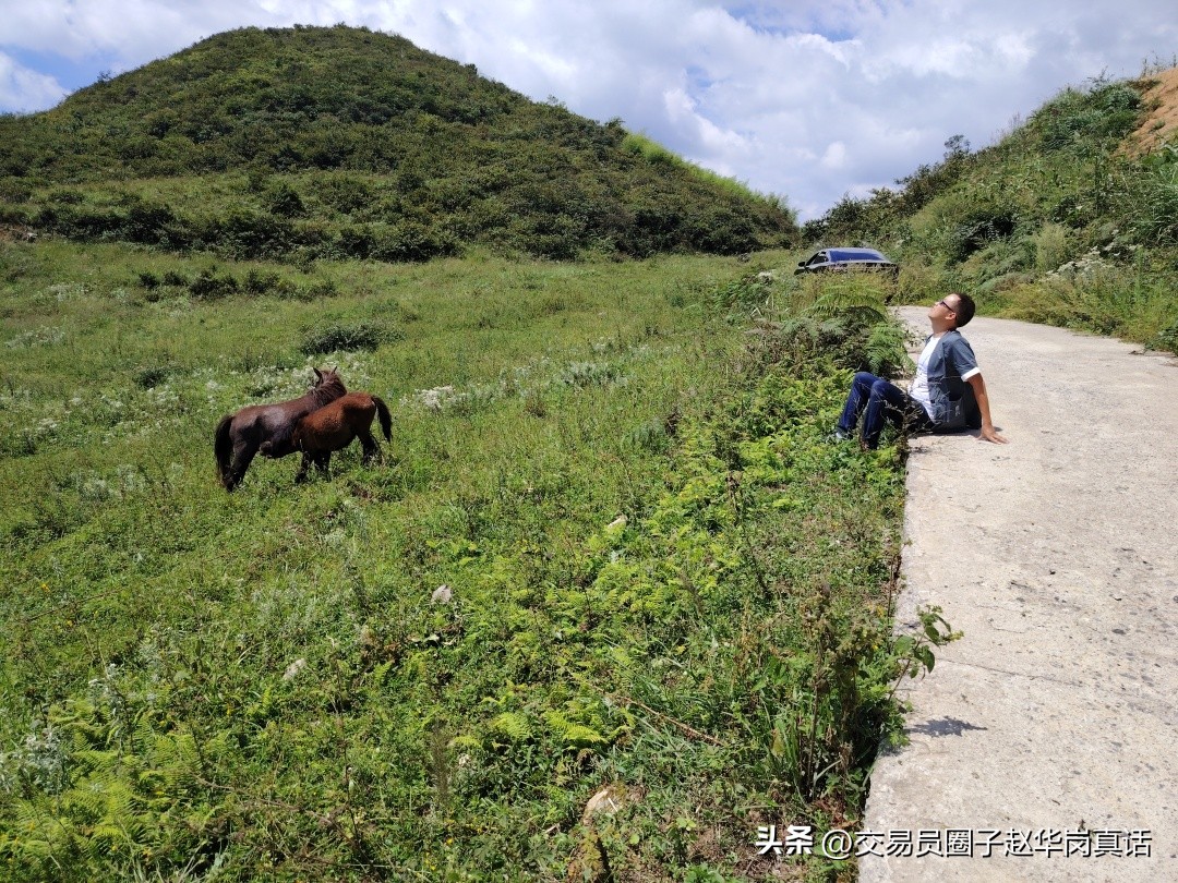 赵华岗交易战法,赵华岗黄金战法