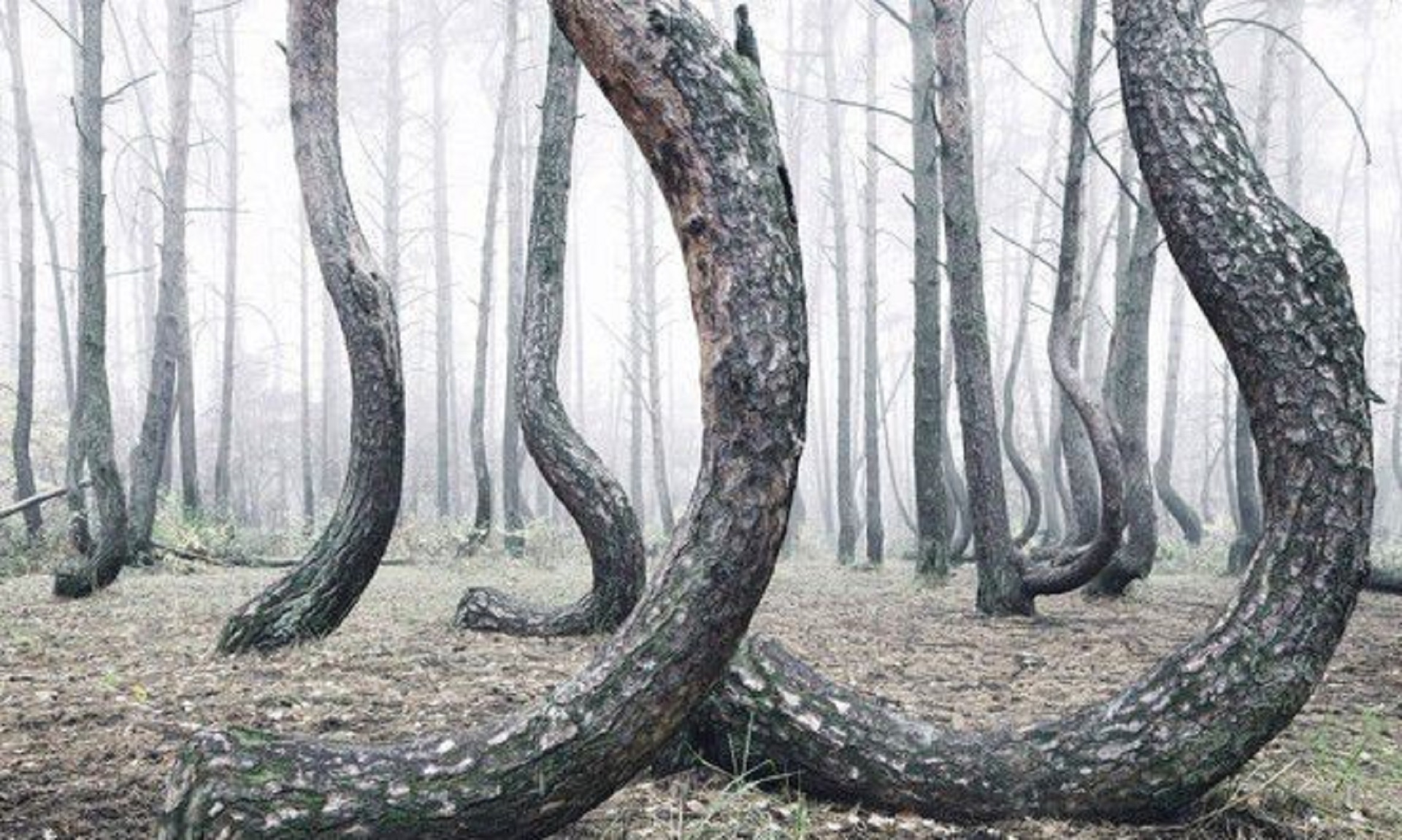 细思极恐的世界奇观,世界奇观真实美景