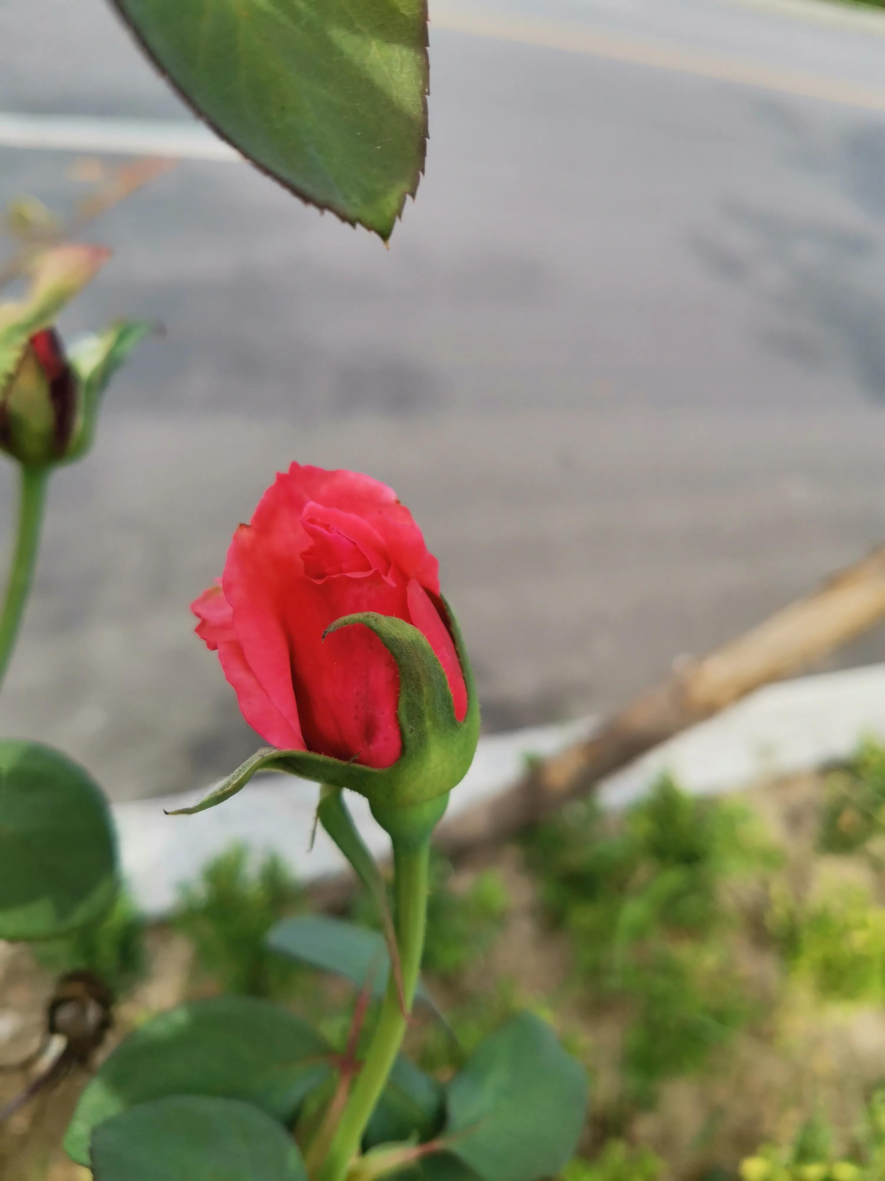 云水书法作品欣赏,云水堂楹联