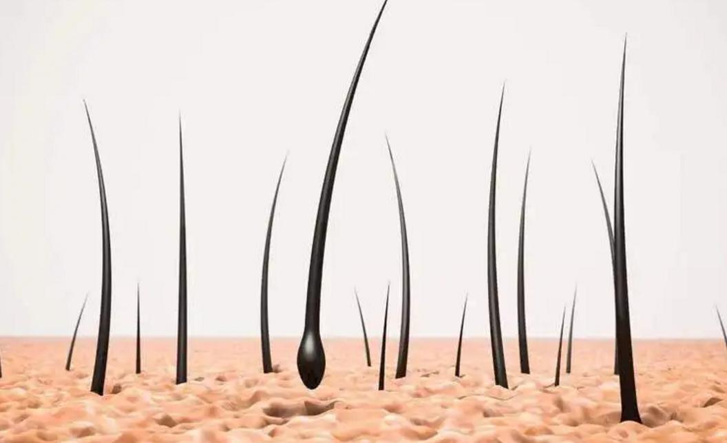 女性*处私**毛发可以剃掉？*处私**毛发的这3种用处，你需要了解