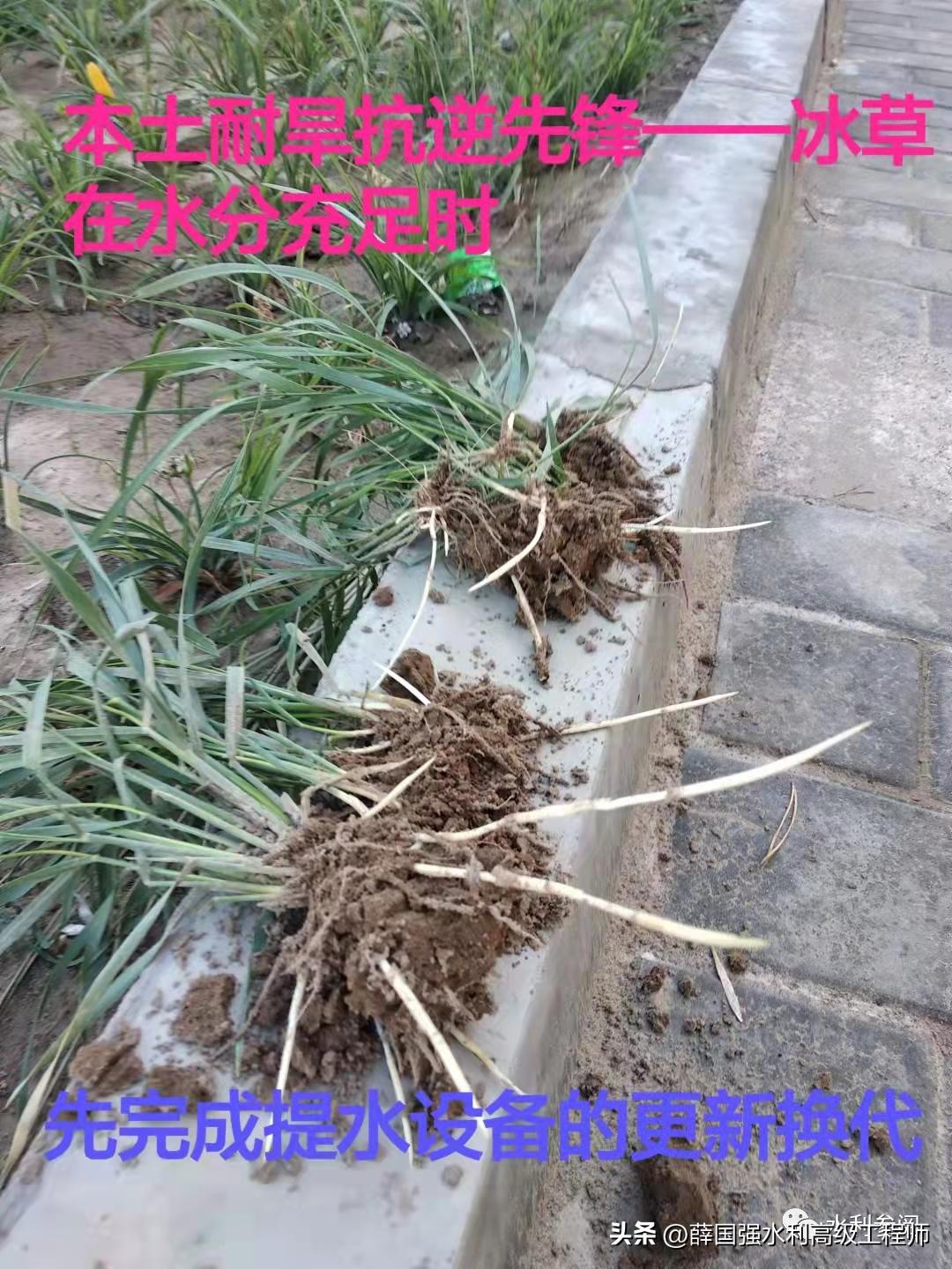 柴尔红、薛国强:我国水资源治理深度思考之西北篇(二)