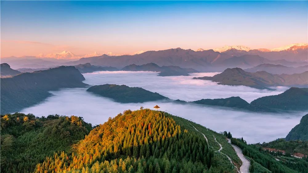 非遗奇遇记端午赛龙舟,端午节赛龙舟比较有特色文艺活动