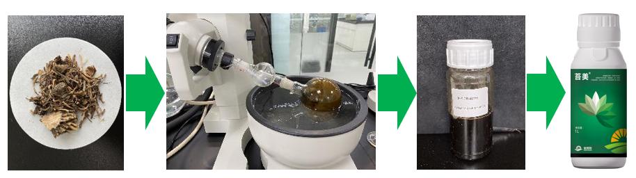 香芹酚与灰霉病,柑橘灰霉病用香芹酚