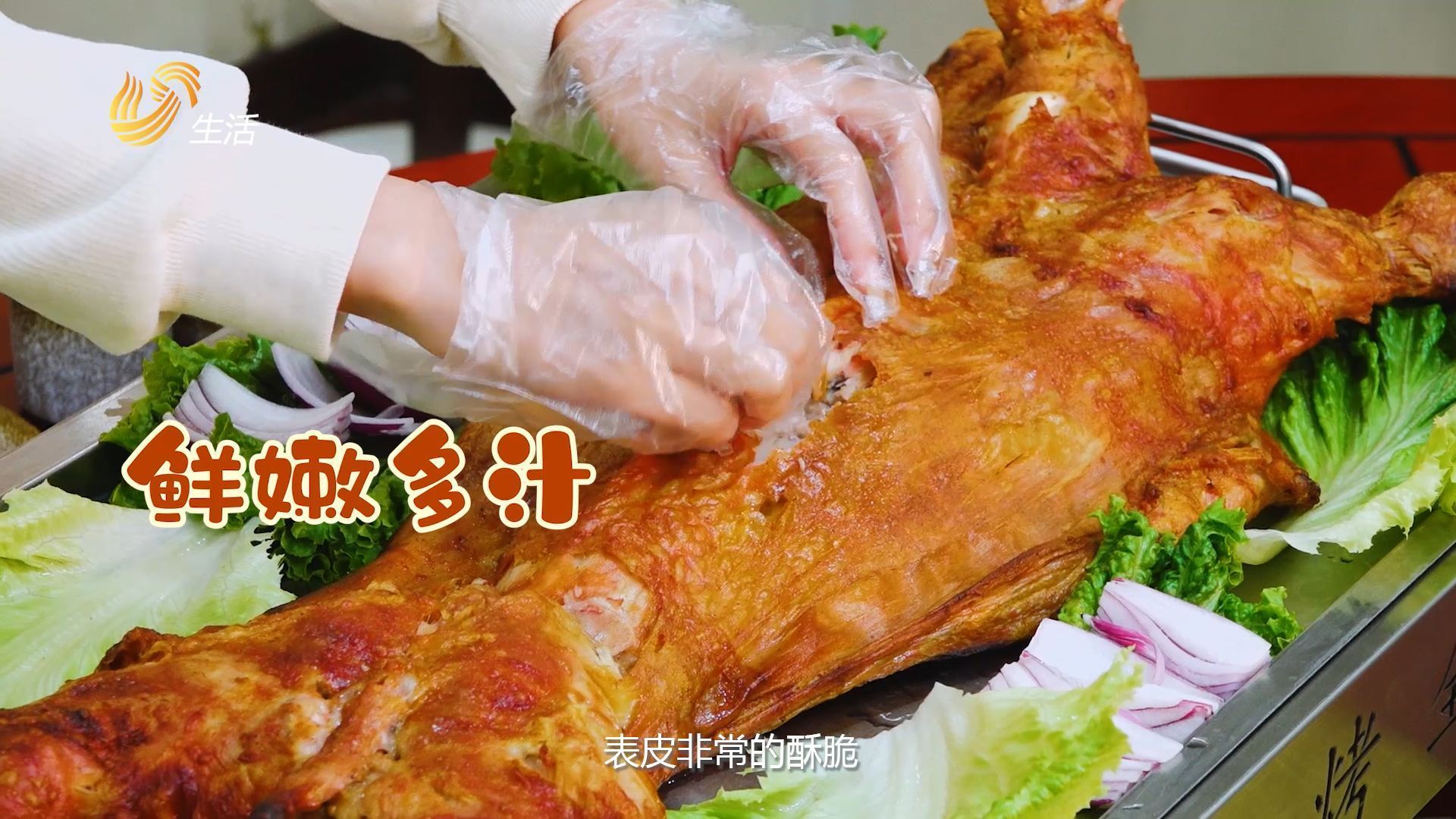 济南怪坡烤全羊什么套餐合适,山东直通车回放