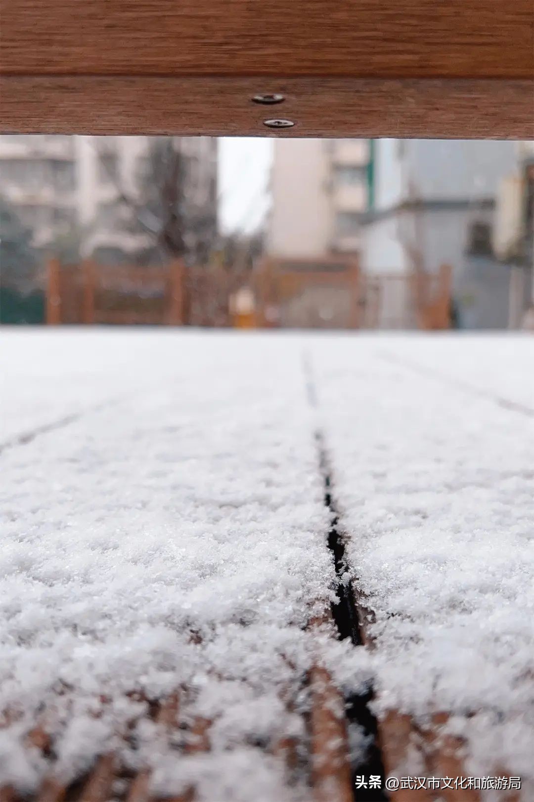 江夏区下大雪了吗,今天江夏区在下雪吗