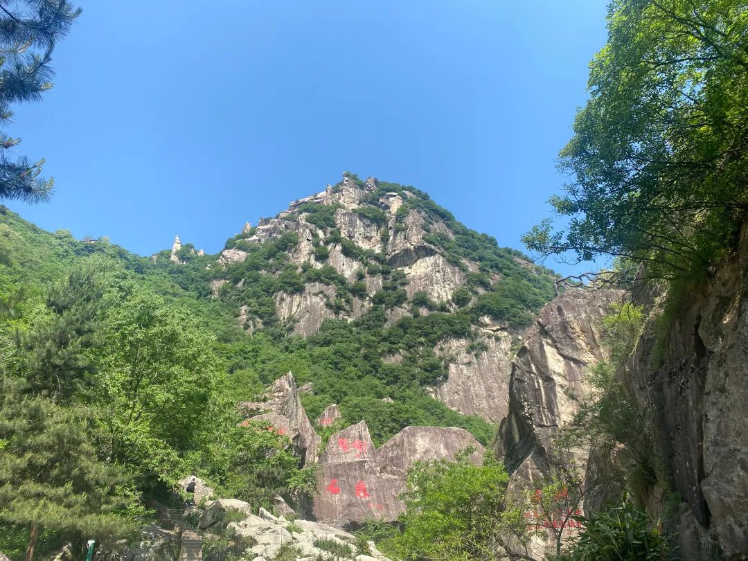 笃行致远不负韶华砥砺前行,笃行致远不负芳华全文