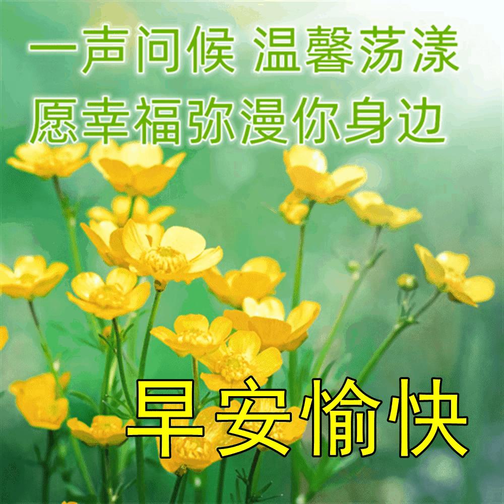 小暑节气最美问候图片,小暑节气早安问候图片