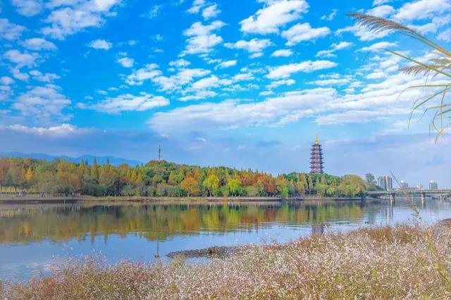 周五竞彩热门比赛盘口解析方向比分预测！