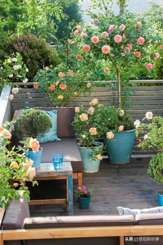 毫不犹豫的买了顶楼带露台的房子,顶楼带露台和二楼带露台