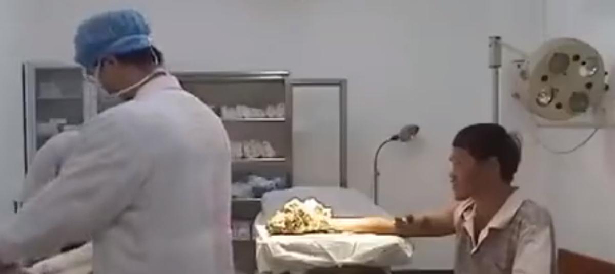 湖南树人刘忠文全部视频,树人刘忠文后续