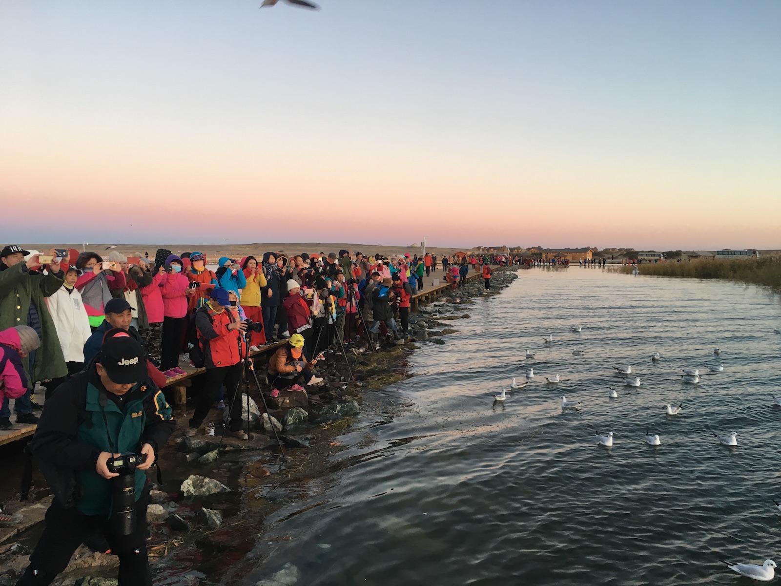 北京自驾额济纳胡杨林十天攻略,从北京到额济纳胡杨林线路