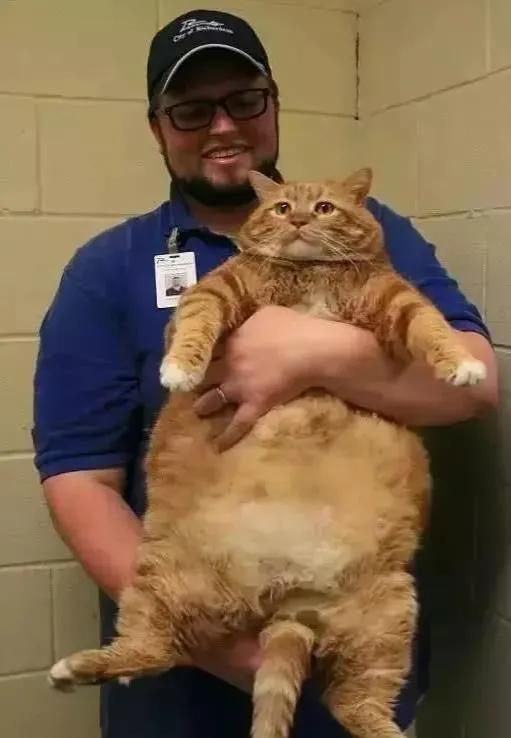 那些年被爷爷奶奶带大的宠物,爷爷奶奶养大的宠物治愈瞬间