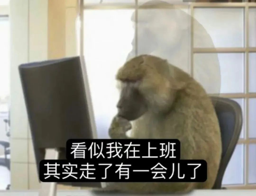 图片处理软件最好用的一款,实用的图片处理软件工具推荐