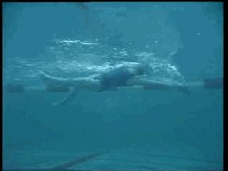 仰泳换自由泳的切换分解动作图解,混合泳仰泳后滚翻动作要领