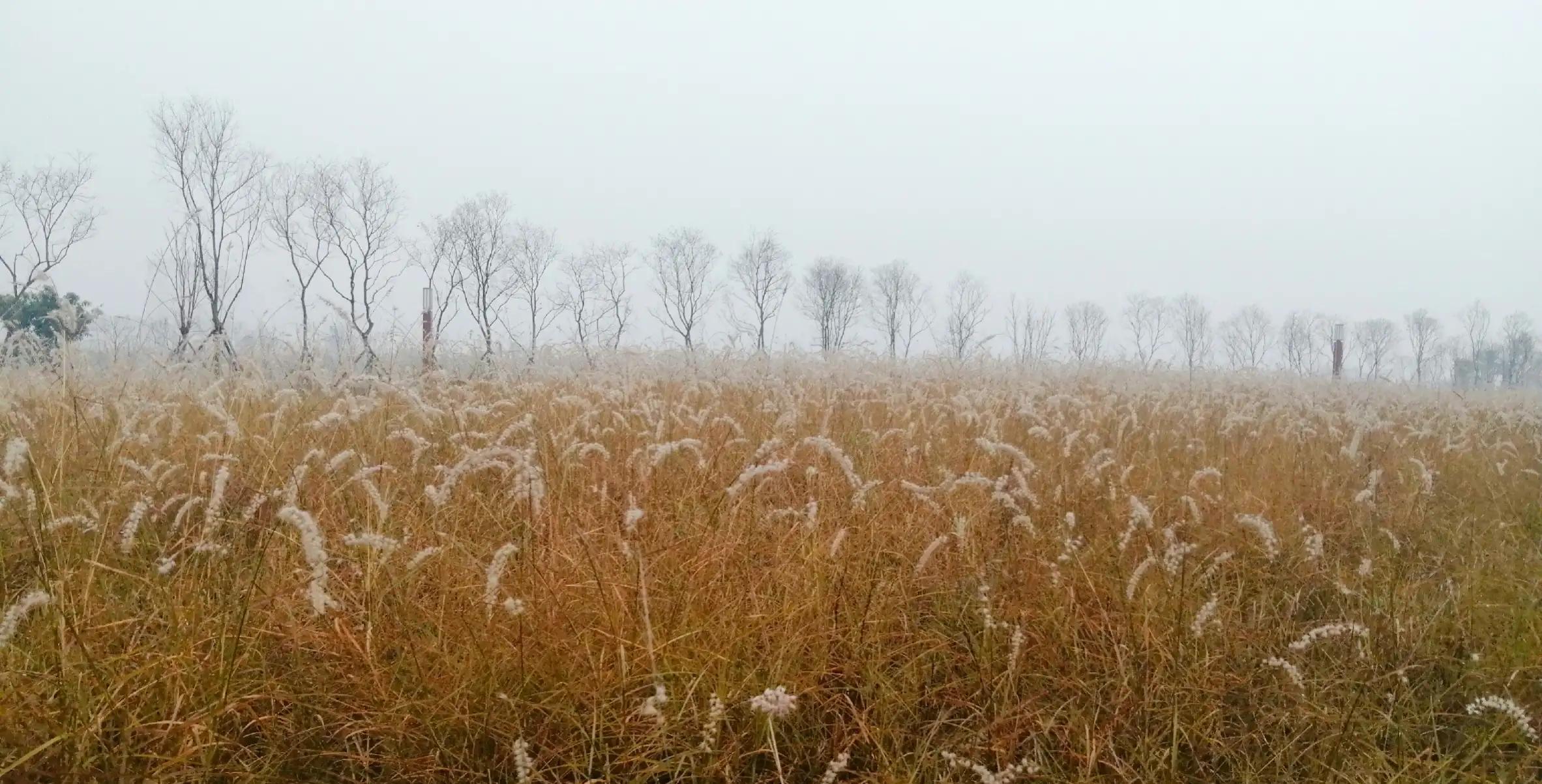 五台山文殊道场讲解,慈悲三昧水忏上中下卷全文注音版