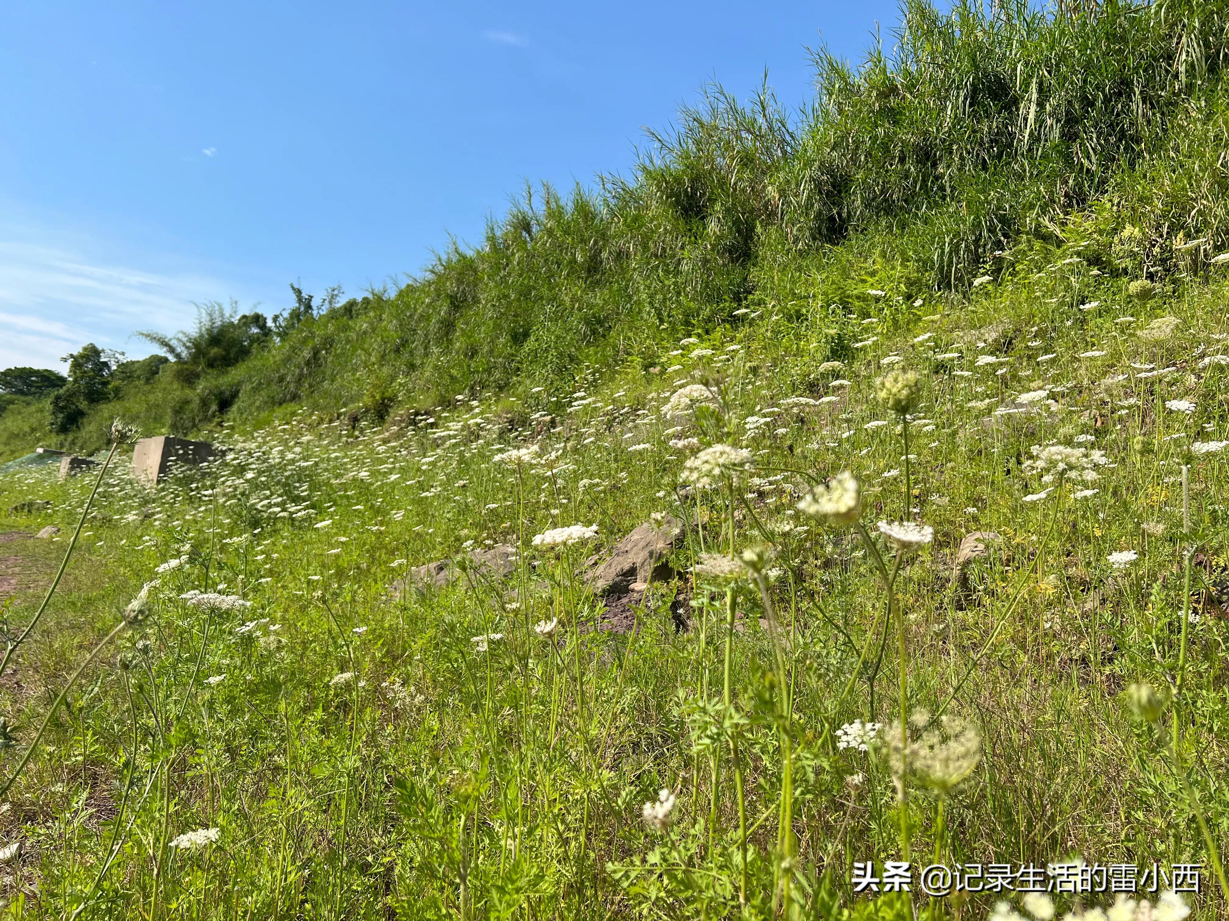 五一假期旅游冲突,和五一假期擦肩而过