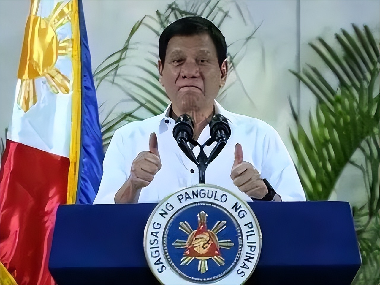 菲律宾榴莲获准对华出口,菲律宾希望扩大对中国的榴莲出口